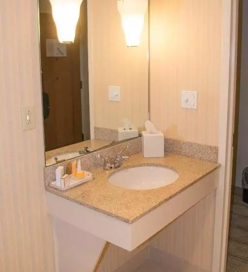 身障者適用キングサイズベッドルーム, The Inn At Virginia Tech  On Campus