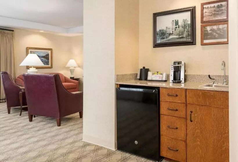 キングサイズベッドのエクゼクティブ, The Inn At Virginia Tech  On Campus