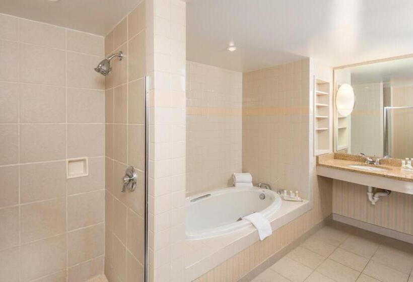 جناح إدارى سرير كينج, The Inn At Virginia Tech  On Campus