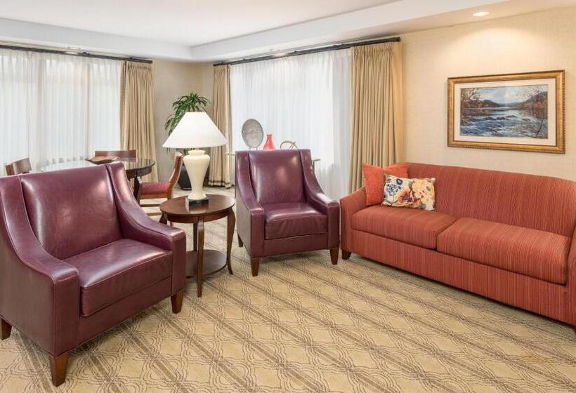 이그제큐티브 스위트 킹침대, The Inn At Virginia Tech  On Campus