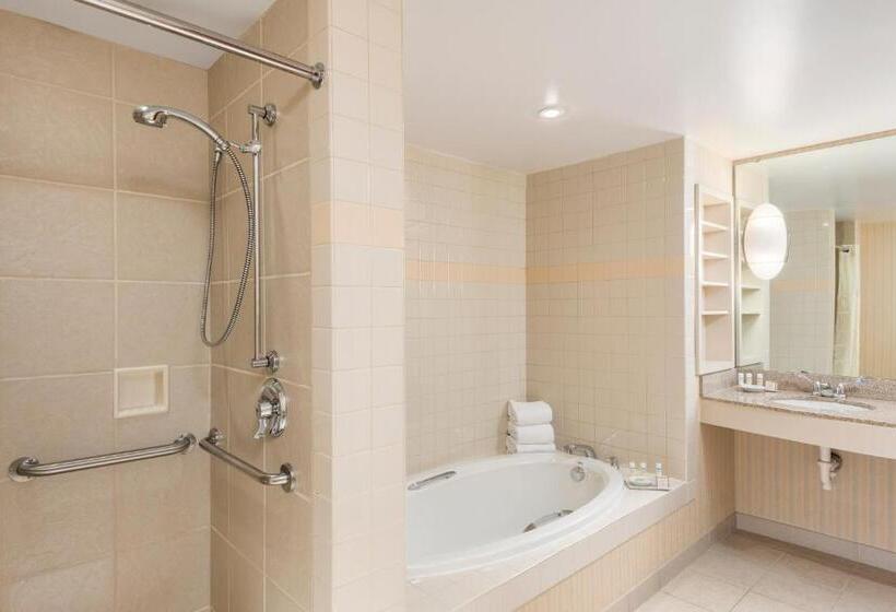 جناح إدارى سرير كينج, The Inn At Virginia Tech  On Campus