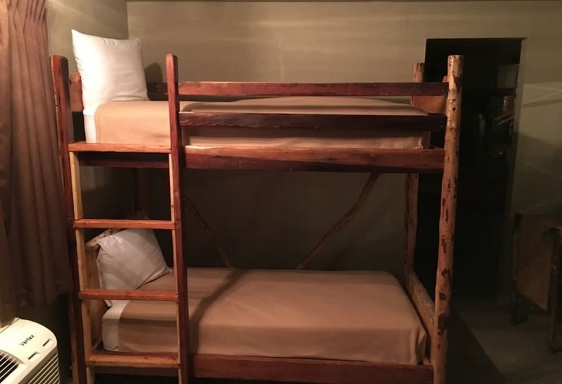 סוויטה משפחתית, The Trailhead