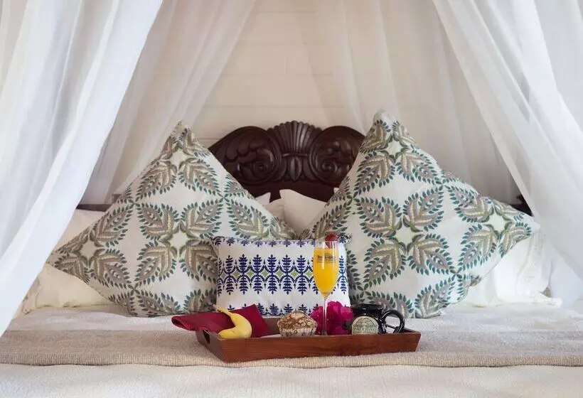 オーシャンビューのプレミアムルーム。, Port D'hiver Bed And Breakfast