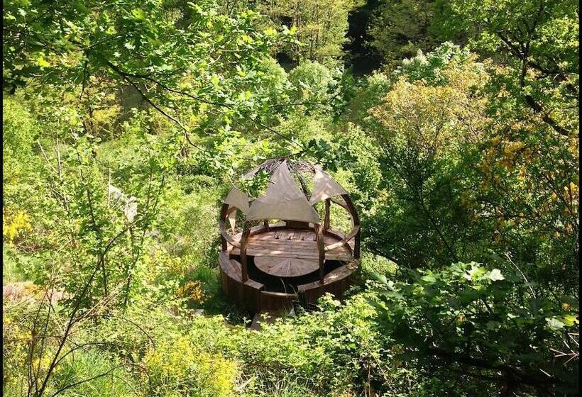 标准房带园景, Malrieu