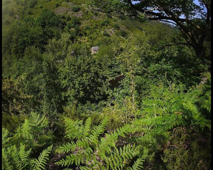 标准房带园景, Malrieu