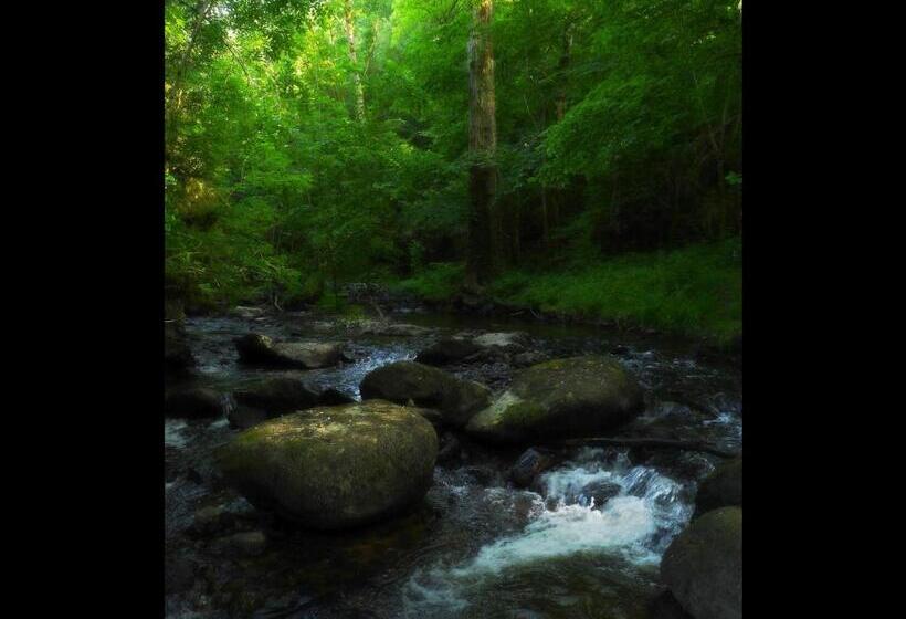 标准房带园景, Malrieu