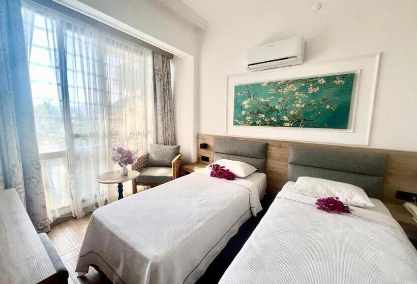 Номер Стандарт, Carikci