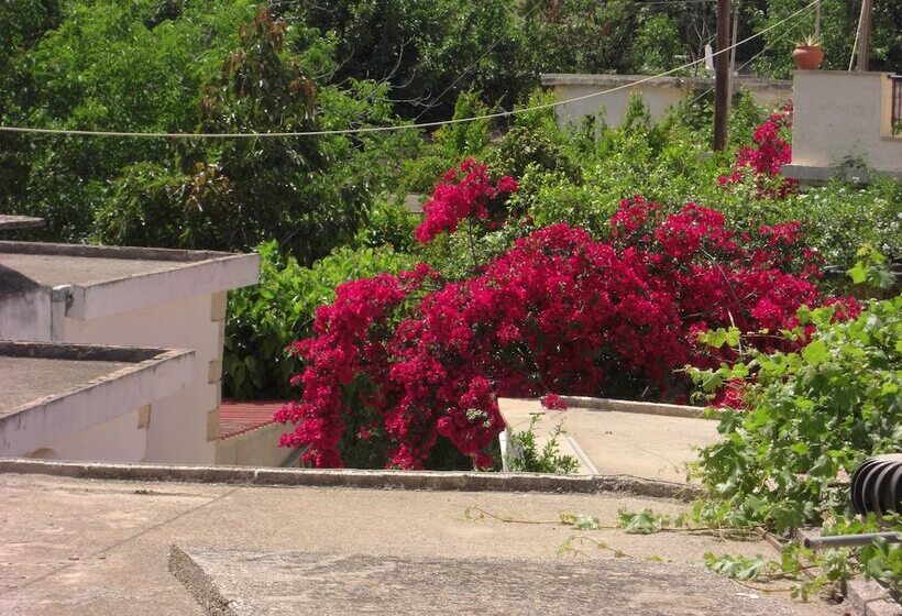 آپارتمان سوپریور 2 خوابه, Patriko Traditional Residence