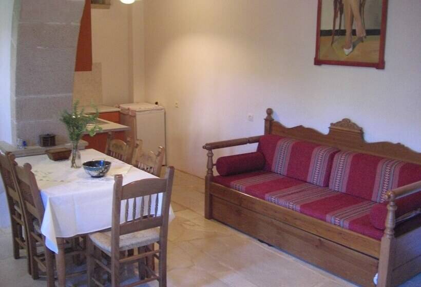 آپارتمان سوپریور 2 خوابه, Patriko Traditional Residence