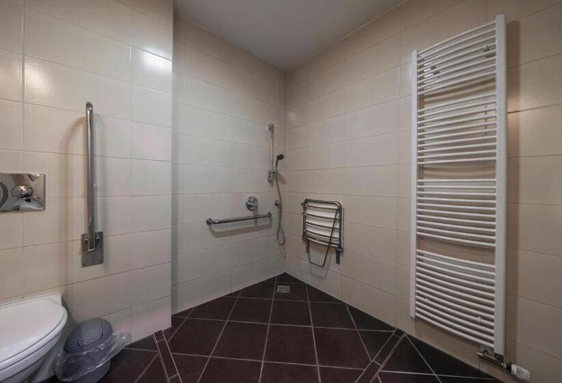 适合残疾人士使用的单人标准间, Astory Plzeň