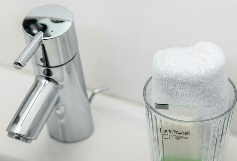 ガーデンビュースタンダードルーム, Birsighof Basel City Center