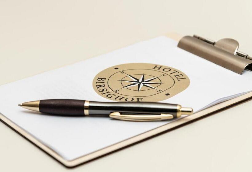 スタンダードシングルルーム, Birsighof Basel City Center