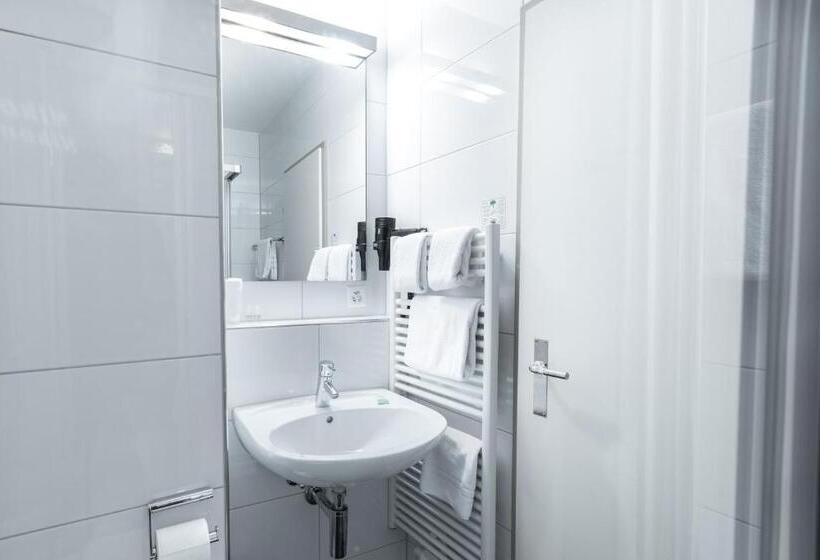 スタンダードルーム, Birsighof Basel City Center