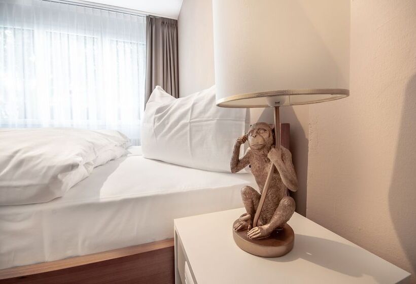 ガーデンビュースタンダードルーム, Birsighof Basel City Center