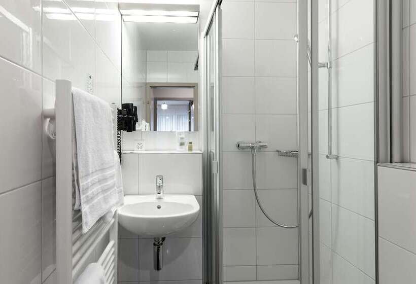 ガーデンビュースタンダードルーム, Birsighof Basel City Center