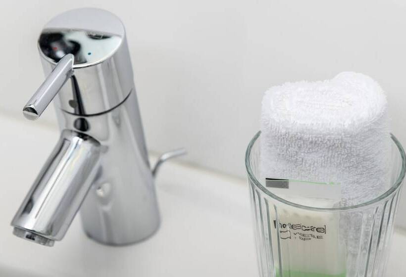 スタンダードルーム, Birsighof Basel City Center