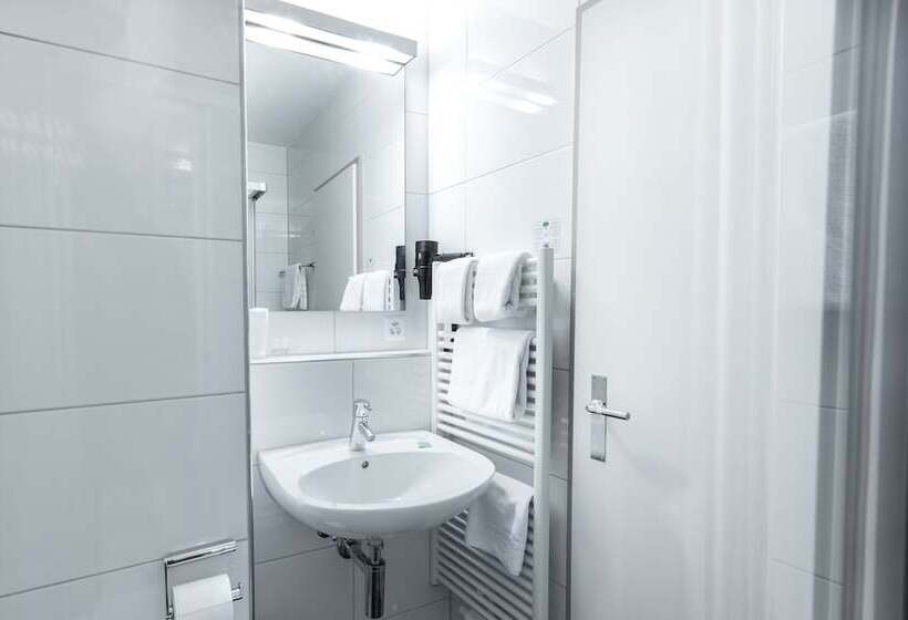 ガーデンビュースタンダードルーム, Birsighof Basel City Center