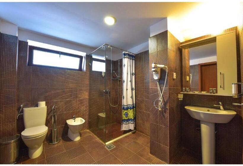 スタンダードスタジオ, Complex Mediteranean Mamaia