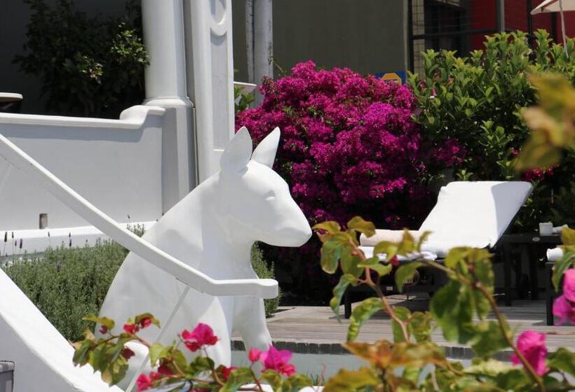 バルコニー付きデラックスルーム, Dysart Boutique Hotel Solar Power