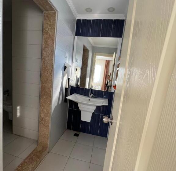 חדר משפחתי, Ibrahim Bey