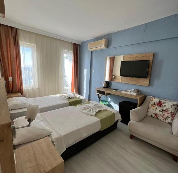 חדר משפחתי, Ibrahim Bey