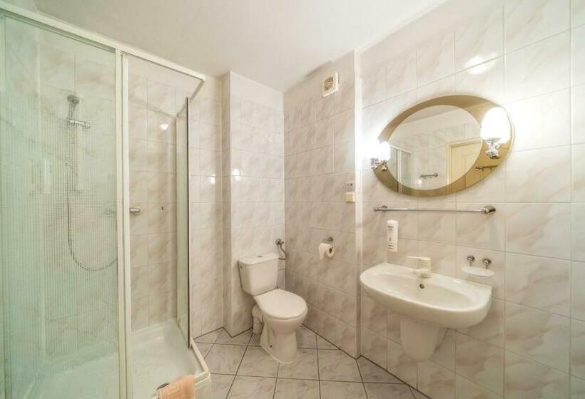 اتاق استاندارد یک نفره, Kompleks Antałówka Termy & Med