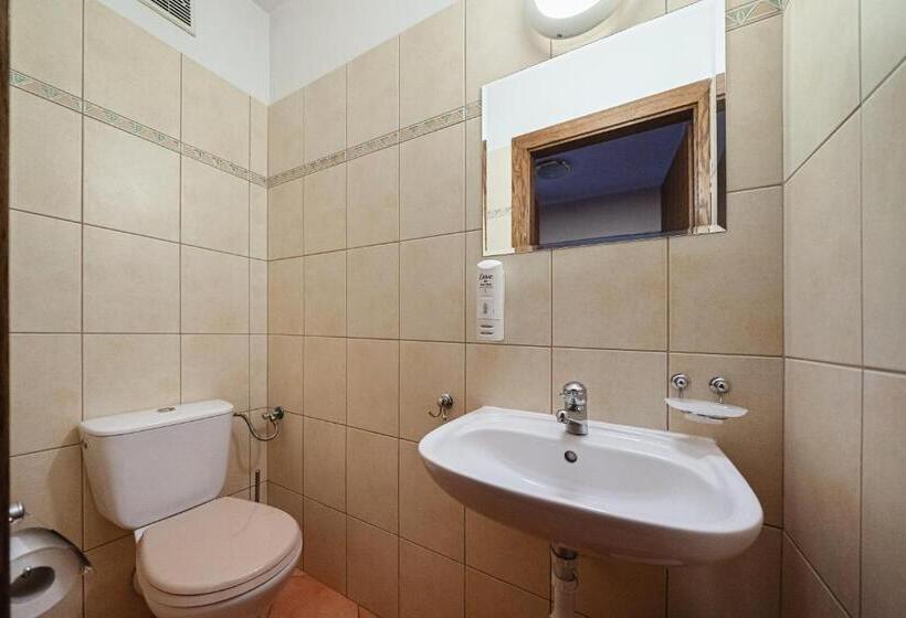 استودیو استاندارد با بالکن, Kompleks Antałówka Termy & Med