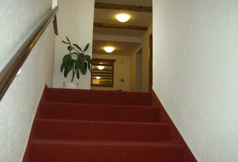 غرفة قياسية فردية, Maria