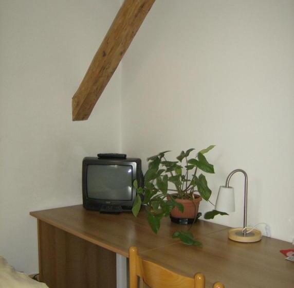 غرفة إقتصادية فردية, Maria