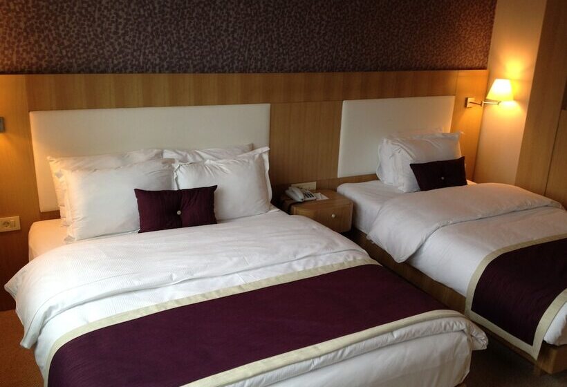 اتاق استاندارد, Masel