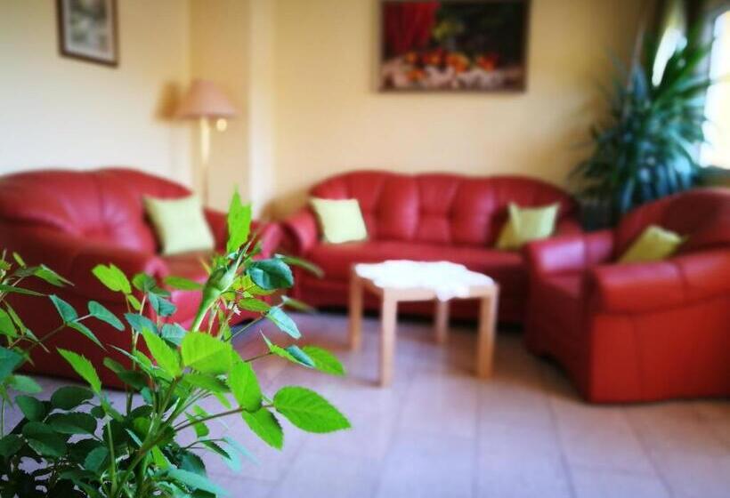 스탠다드 싱글 룸, Restaurant Zum Schwan