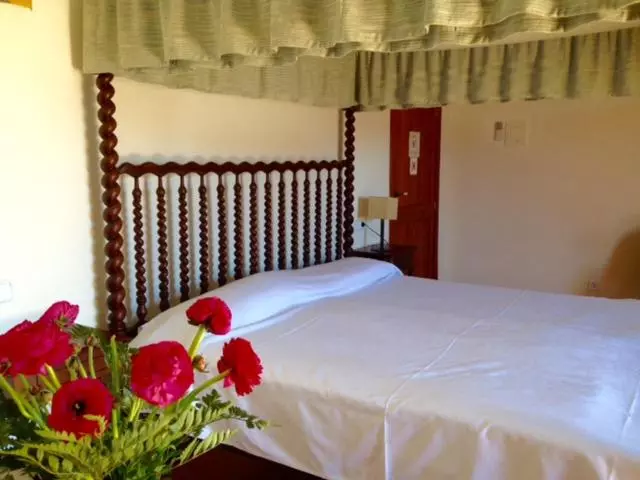 اتاق استاندارد, Sant Jaume