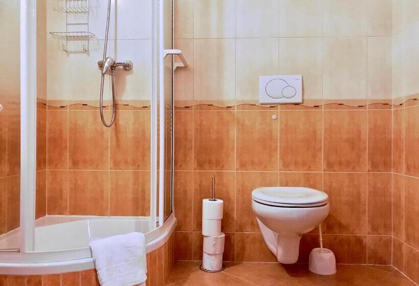 スタンダードルーム, Willa Wisienka