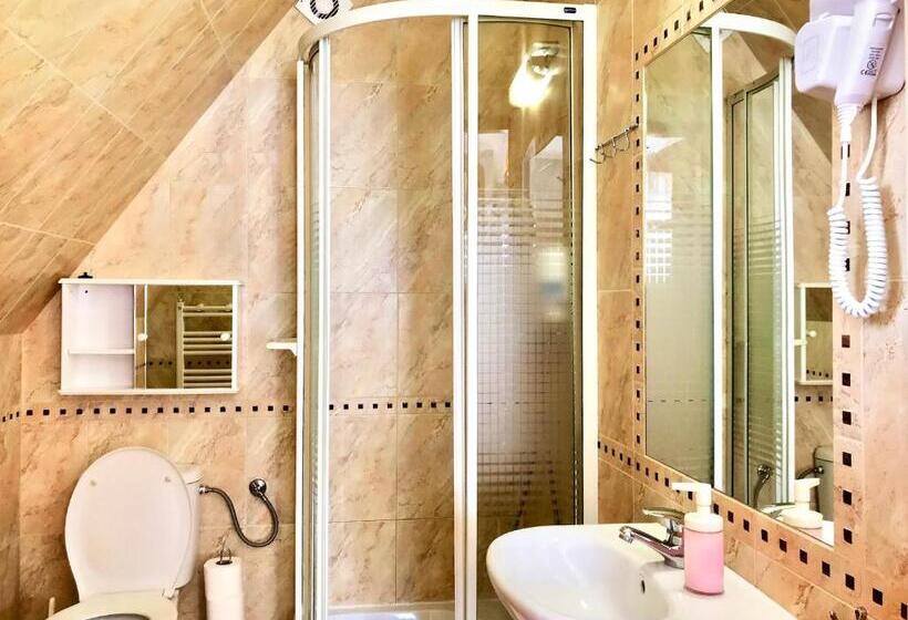 シングルデラックスルーム, Willa Wisienka