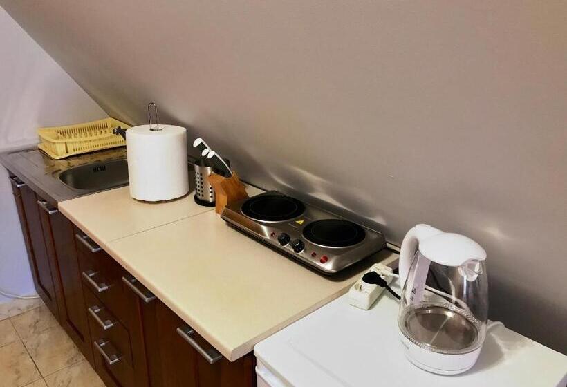 景色の見える一ベッドルームアパートメント, Willa Wisienka