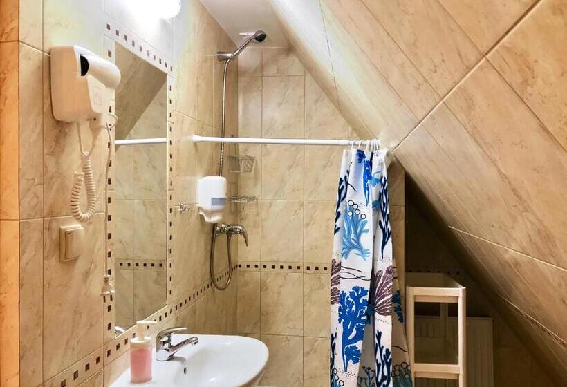 景色の見える一ベッドルームアパートメント, Willa Wisienka