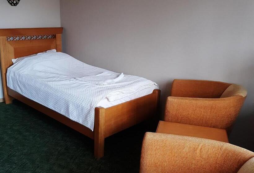 スタンダードシングルルーム, Willa Wisienka