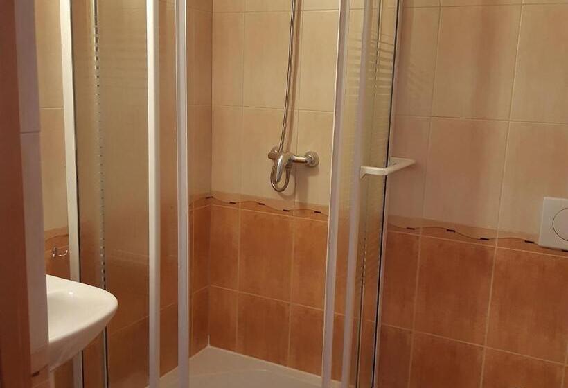 スタンダードシングルルーム, Willa Wisienka