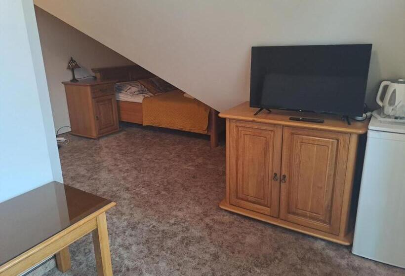 ペントハウスルーム, Willa Wisienka