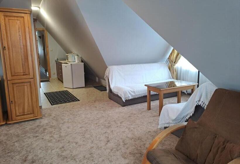 景色の見える一ベッドルームアパートメント, Willa Wisienka