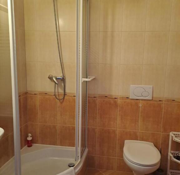 スタンダードシングルルーム, Willa Wisienka