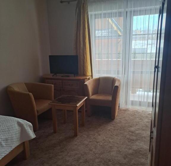 スタンダードシングルルーム, Willa Wisienka