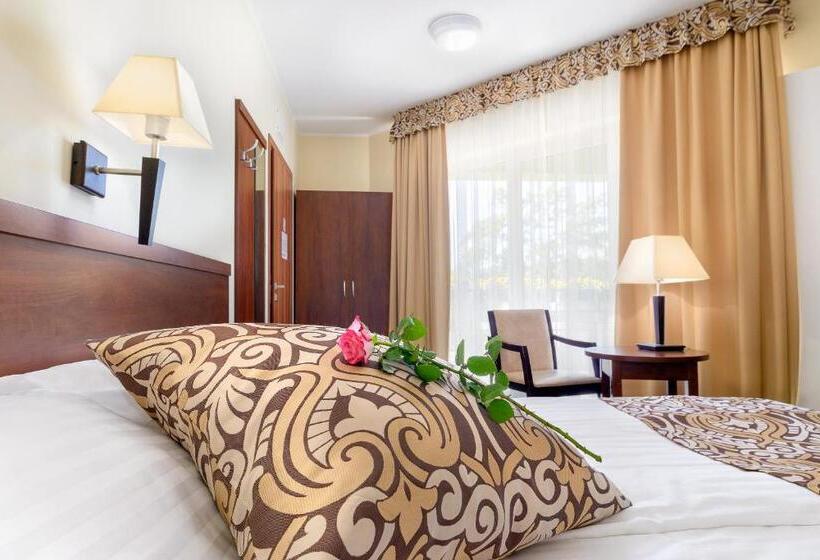 חדר סטנדרט, Zielony