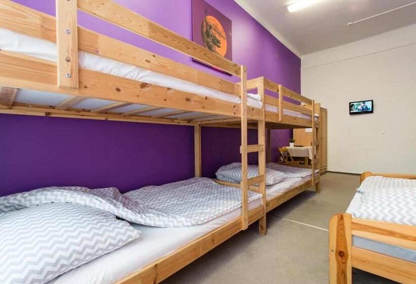 带共用卧室公用房间的床, Moon Hostel Warszawa