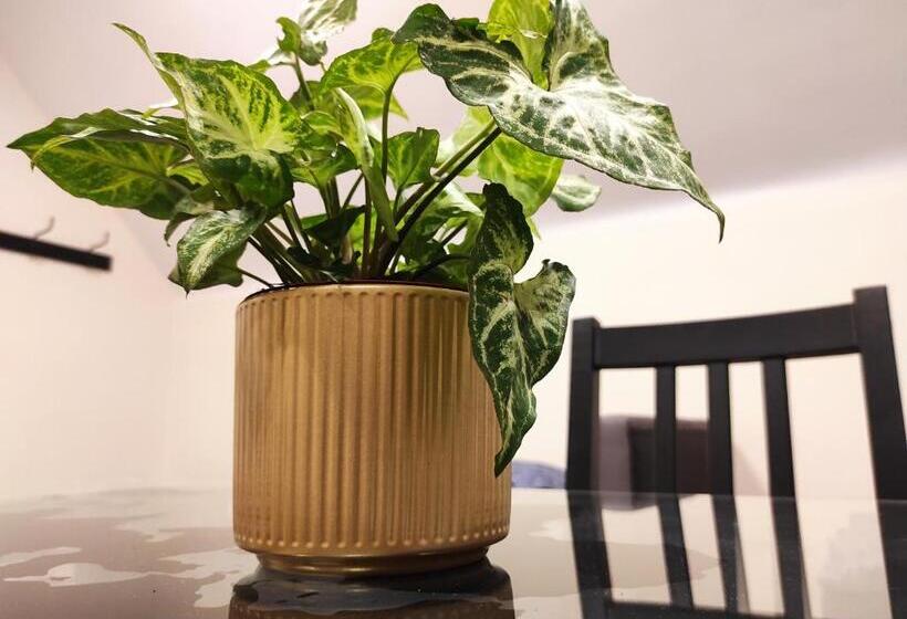 四人豪华间, Moon Hostel Warszawa