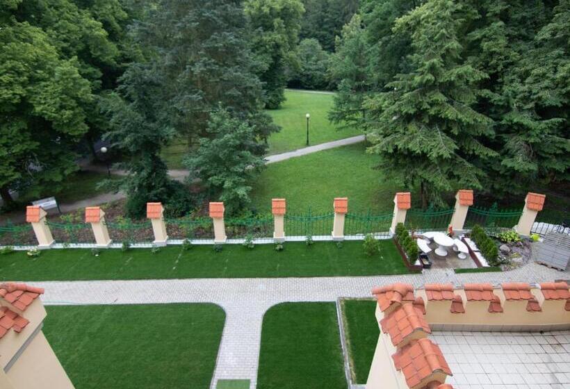 스탠다드 룸, Spa Hotel Villa Ritter