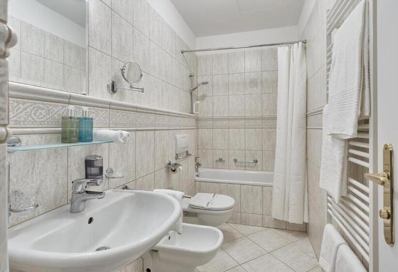 스탠다드 룸, Spa Hotel Villa Ritter