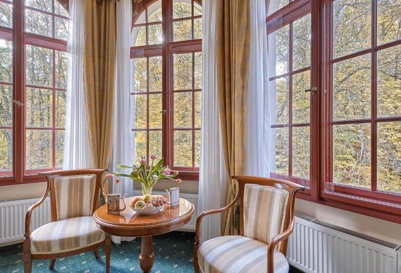 스탠다드 룸, Spa Hotel Villa Ritter