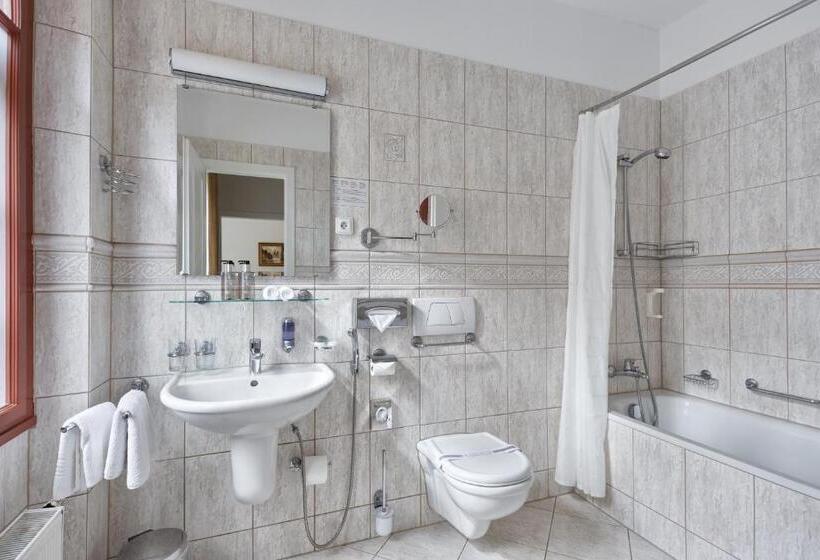 스탠다드 룸, Spa Hotel Villa Ritter