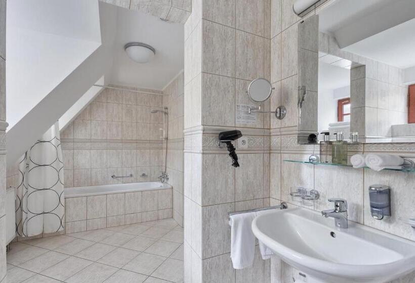 발코니 디럭스 룸, Spa Hotel Villa Ritter